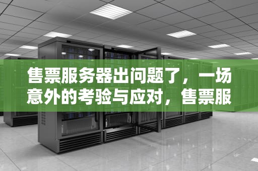 售票服务器出问题了，一场意外的考验与应对，售票服务器出问题了怎么办