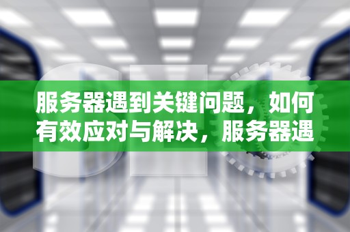 服务器遇到关键问题，如何有效应对与解决，服务器遇到关键问题,一分钟