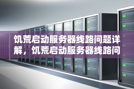饥荒启动服务器线路问题详解，饥荒启动服务器线路问题怎么解决