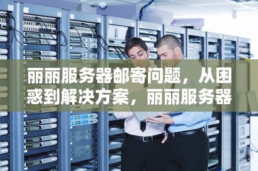 丽丽服务器邮寄问题，从困惑到解决方案，丽丽服务器名字的由来