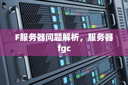 F服务器问题解析，服务器fgc