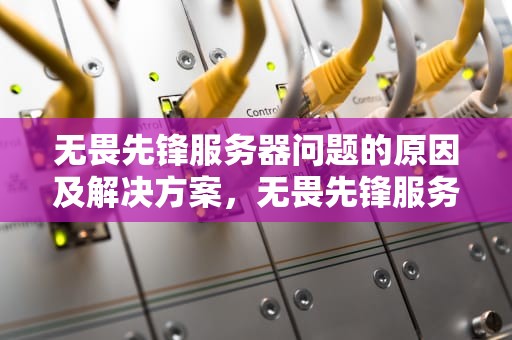 无畏先锋服务器问题的原因及解决方案，无畏先锋服务器出问题怎么解决