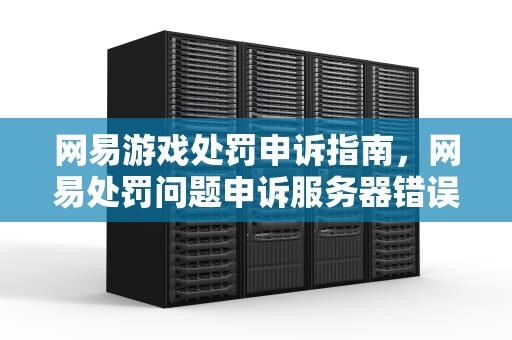 网易游戏处罚申诉指南，网易处罚问题申诉服务器错误
