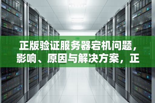 正版验证服务器宕机问题，影响、原因与解决方案，正版验证服务器宕机问题怎么解决