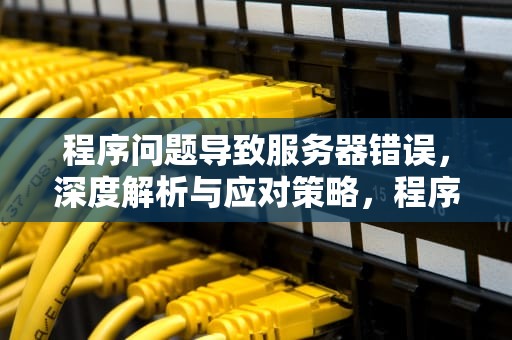 程序问题导致服务器错误，深度解析与应对策略，程序问题导致服务器错误怎么解决