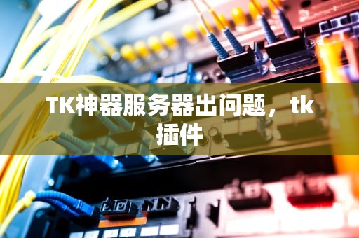 TK神器服务器出问题，tk插件