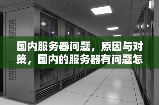国内服务器问题，原因与对策，国内的服务器有问题怎么办