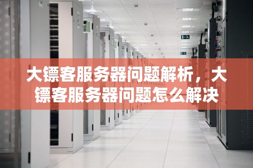 大镖客服务器问题解析，大镖客服务器问题怎么解决