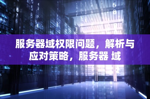 服务器域权限问题，解析与应对策略，服务器 域