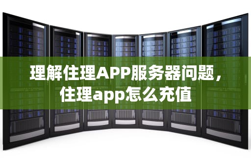 理解住理APP服务器问题，住理app怎么充值