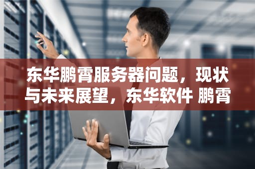 东华鹏霄服务器问题，现状与未来展望，东华软件 鹏霄服务器