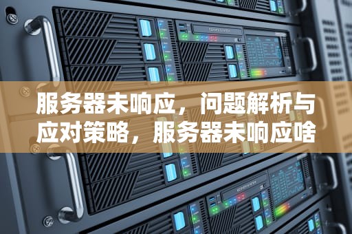 服务器未响应，问题解析与应对策略，服务器未响应啥问题啊
