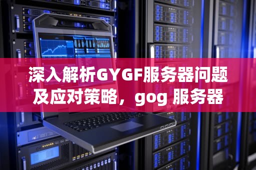 深入解析GYGF服务器问题及应对策略，gog 服务器