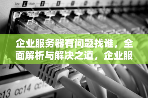 企业服务器有问题找谁，全面解析与解决之道，企业服务器有问题找谁解决