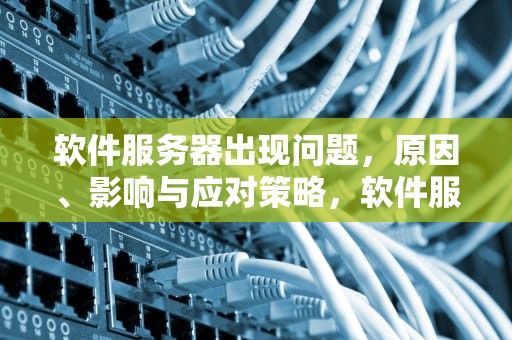 软件服务器出现问题，原因、影响与应对策略，软件服务器出现问题怎么解决