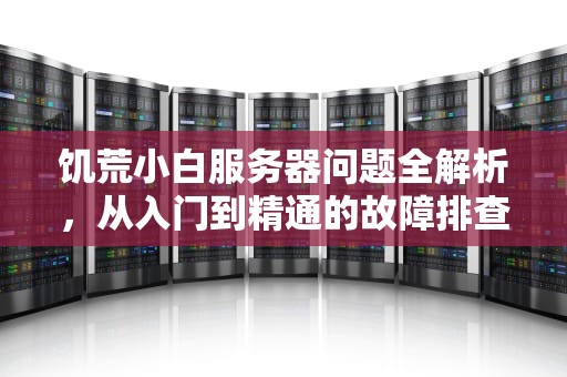 饥荒小白服务器问题全解析，从入门到精通的故障排查与解决方案，饥荒联机小白服务器