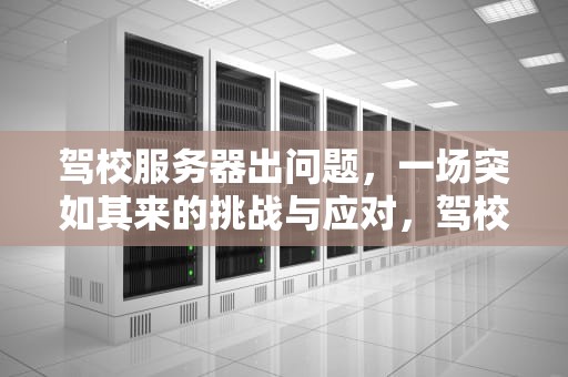 驾校服务器出问题，一场突如其来的挑战与应对，驾校服务器出问题一般要多久才能搞好