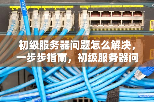 初级服务器问题怎么解决，一步步指南，初级服务器问题怎么解决的