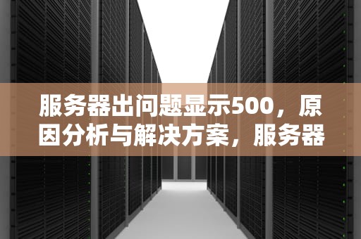 服务器出问题显示500，原因分析与解决方案，服务器出问题显示500M