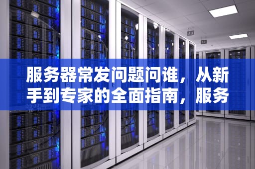 服务器常发问题问谁，从新手到专家的全面指南，服务器常发问题问谁的问题