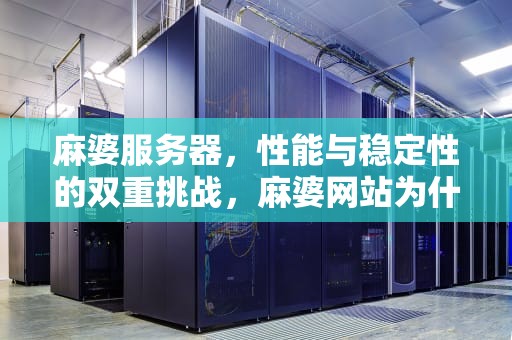 麻婆服务器，性能与稳定性的双重挑战，麻婆网站为什么关了