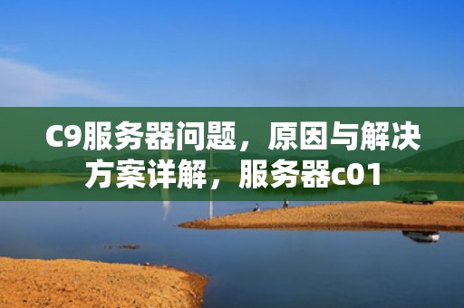 C9服务器问题，原因与解决方案详解，服务器c01