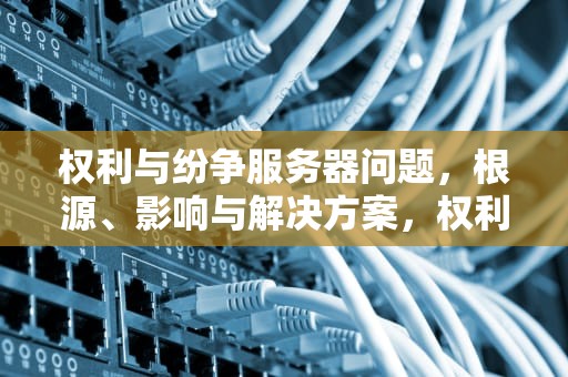 权利与纷争服务器问题，根源、影响与解决方案，权利与纷争开服时间表