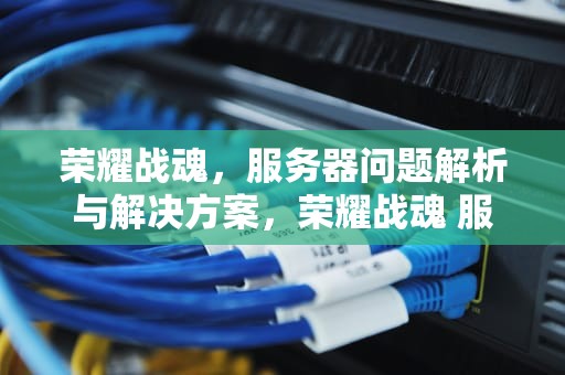 荣耀战魂，服务器问题解析与解决方案，荣耀战魂 服务器问题怎么解决