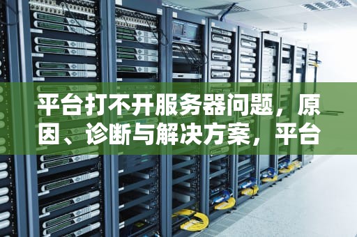 平台打不开服务器问题，原因、诊断与解决方案，平台打不开服务器问题怎么办