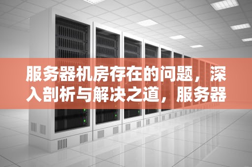 服务器机房存在的问题，深入剖析与解决之道，服务器机房存在的问题及建议
