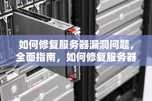 如何修复服务器漏洞问题，全面指南，如何修复服务器漏洞问题视频