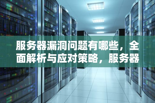 服务器漏洞问题有哪些，全面解析与应对策略，服务器漏洞问题有哪些原因