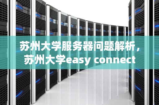 苏州大学服务器问题解析，苏州大学easy connect