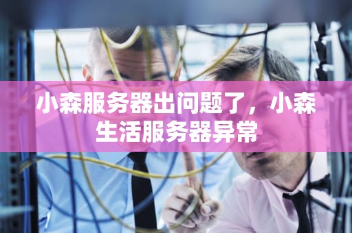 小森服务器出问题了，小森生活服务器异常