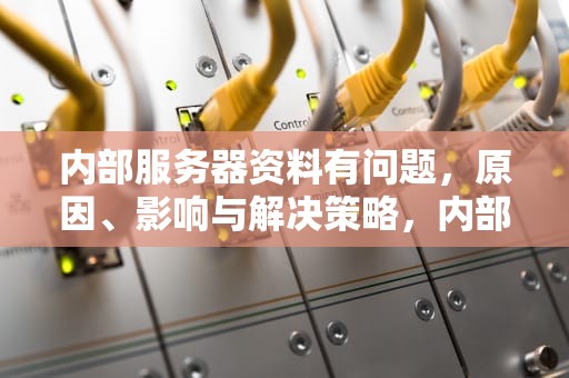 内部服务器资料有问题，原因、影响与解决策略，内部服务器资料有问题怎么解决