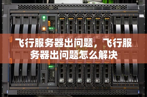 飞行服务器出问题，飞行服务器出问题怎么解决