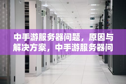 中手游服务器问题，原因与解决方案，中手游服务器问题有哪些