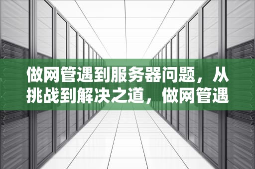 做网管遇到服务器问题，从挑战到解决之道，做网管遇到服务器问题怎么解决