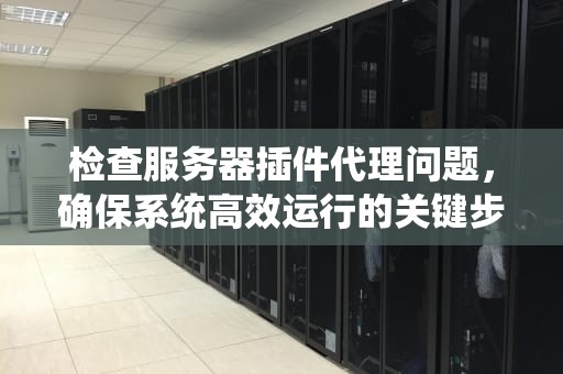 检查服务器插件代理问题，确保系统高效运行的关键步骤，检查服务器插件代理问题的方法