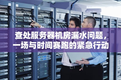 查处服务器机房漏水问题，一场与时间赛跑的紧急行动，查处服务器机房漏水问题的方法