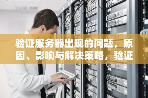 验证服务器出现的问题，原因、影响与解决策略，验证服务器出现的问题怎么解决