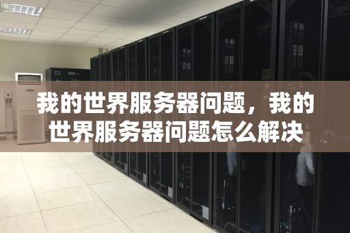 我的世界服务器问题，我的世界服务器问题怎么解决