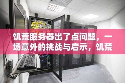 饥荒服务器出了点问题，一场意外的挑战与启示，饥荒服务器出了点问题怎么办