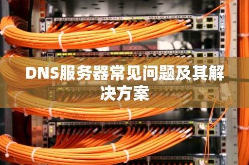 DNS服务器常见问题及其解决方案