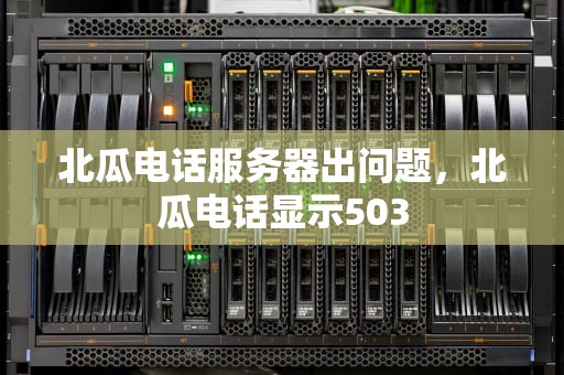 北瓜电话服务器出问题，北瓜电话显示503
