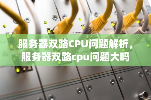 服务器双路CPU问题解析，服务器双路cpu问题大吗