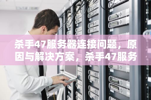 杀手47服务器连接问题，原因与解决方案，杀手47服务器连不上