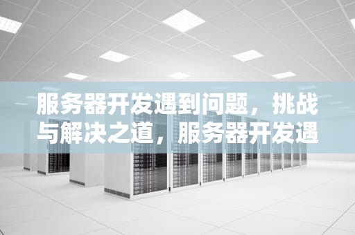 服务器开发遇到问题，挑战与解决之道，服务器开发遇到问题怎么解决