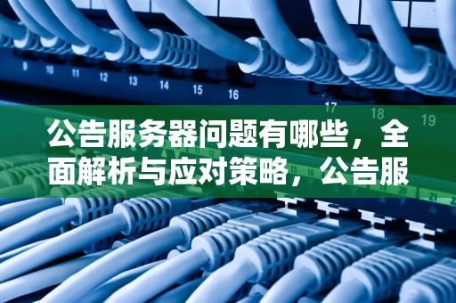 公告服务器问题有哪些，全面解析与应对策略，公告服务器问题有哪些原因