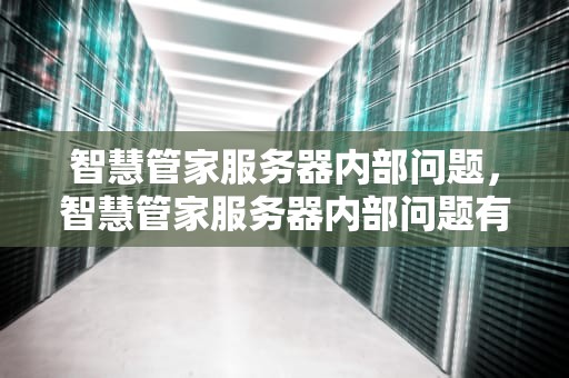 智慧管家服务器内部问题，智慧管家服务器内部问题有哪些